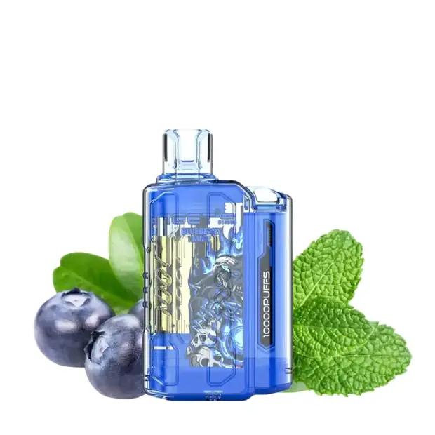 Blueberry Mint – IGET Flare B10000 Puffs — 10,000-puff genuine IGET vape available online in Australia with fast AU delivery Blueberry Mint – IGET Flare B10000 Puffs disposable vape Australia