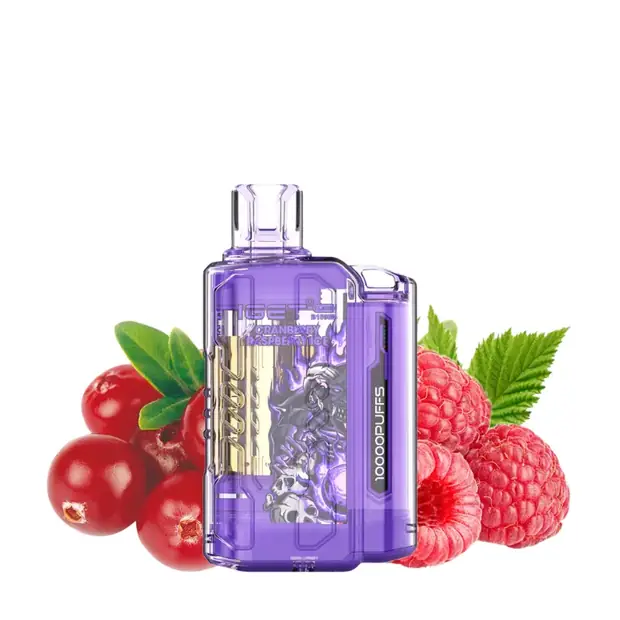 Cranberry Raspberry Ice – IGET Flare B10000 Puffs disposable vape Australia