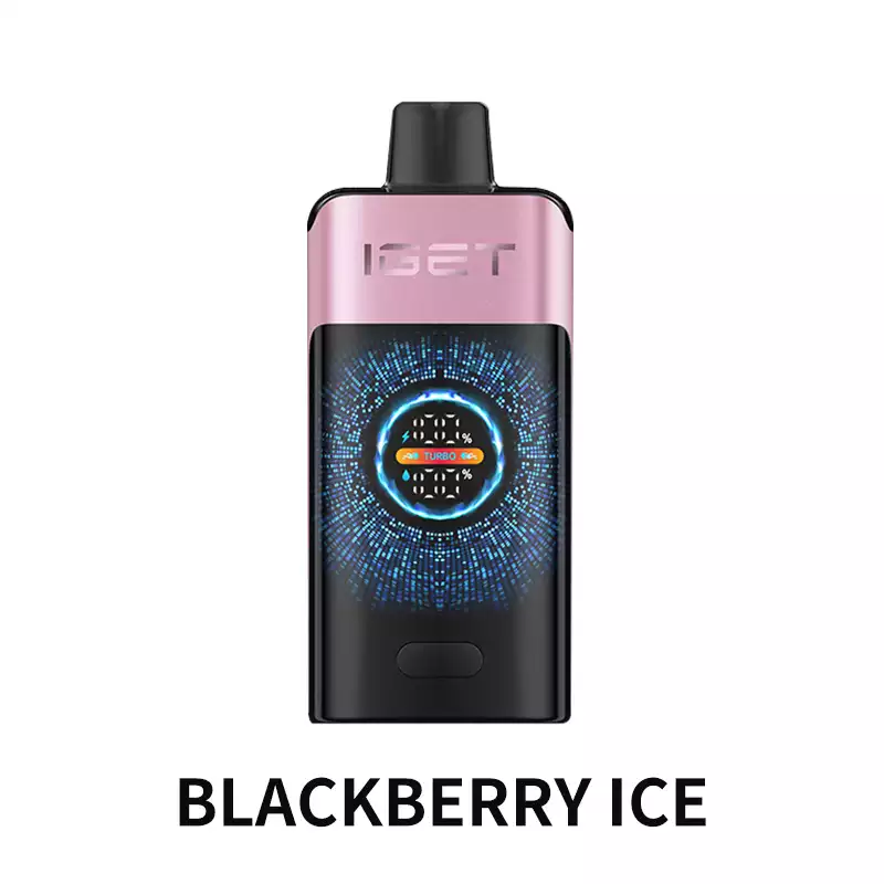 Blackberry Ice IGET One 12000 Puffs disposable vape Australia