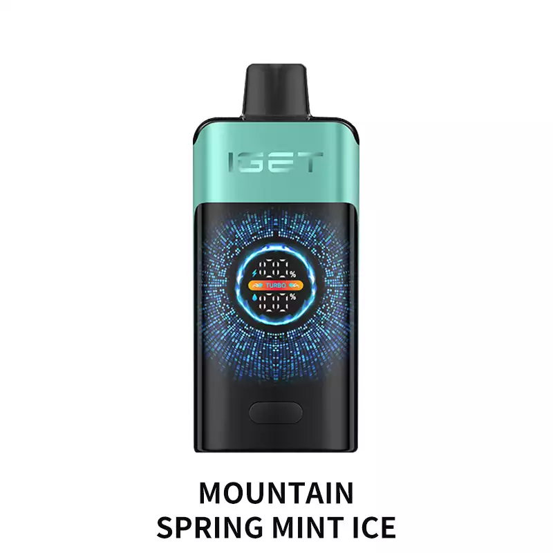 Mountain Spring Mint Ice IGET One 12000 Puffs disposable vape Australia